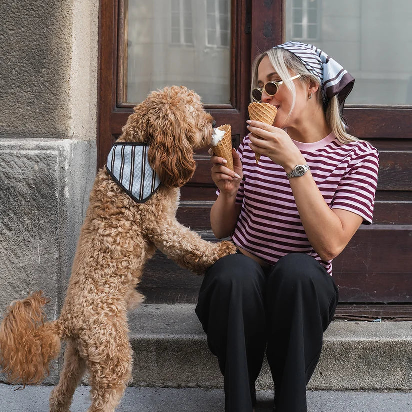 Dog Bandana - Blue Stripes