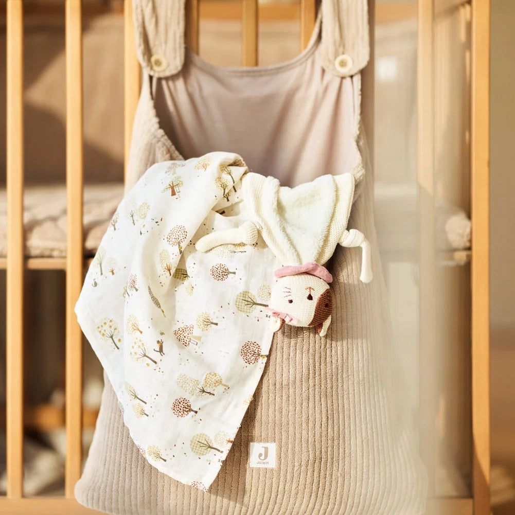 Swaddle Muslin 115x115cm - Tiny Park - 2 Pack