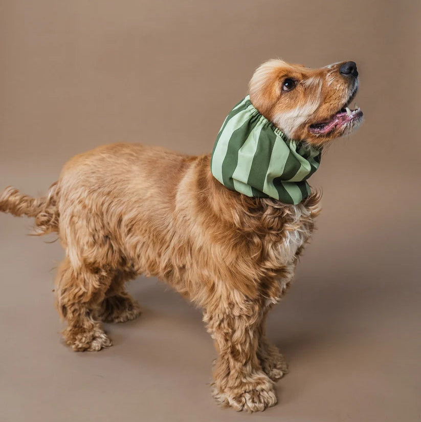 Dog Snood - Green Stripes