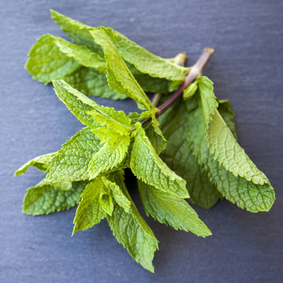 Herbal Teas