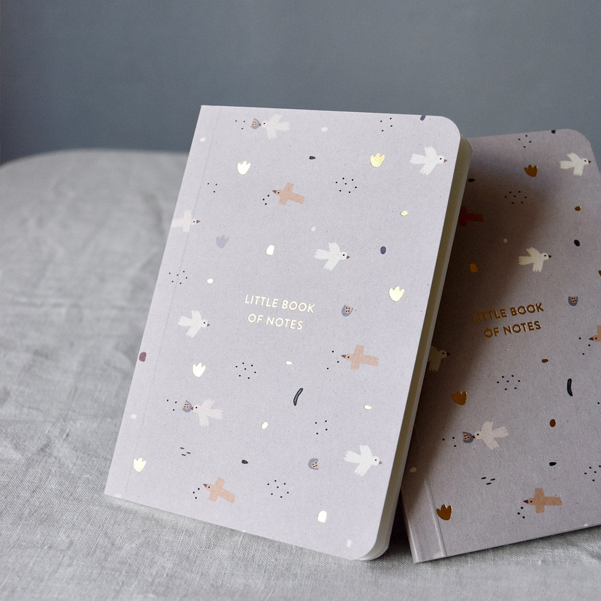 Little Book of Notes (6550560538795)